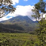 Préserver le Parc de Kahuzi-Biega et le lac Kivu pour les générations futures